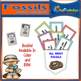 Fossils Interactive Foldable Booklets