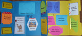 Camels Lapbook