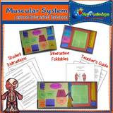 Body Systems Lapbooks