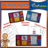 Body Systems Lapbooks