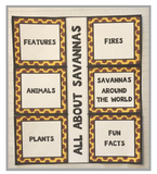 Creatures of the African Savannah Products