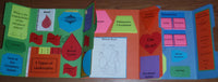 Circulatory System Lapbook - PRINTED