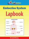 Endocrine System Lapbook - PRINTED