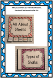 Sharks Interactive Foldable Booklets