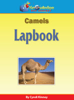 Camels Lapbook