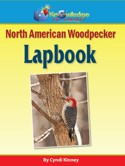North American Woodpeckers Lapbook