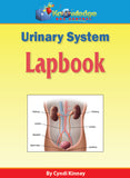 Body Systems Lapbooks
